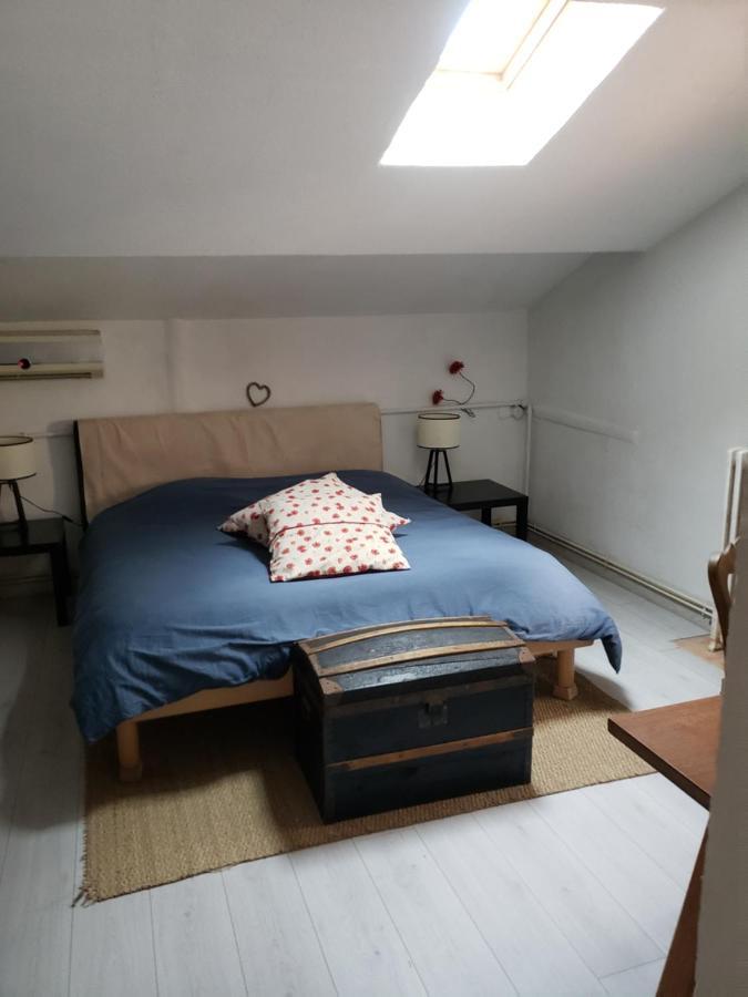 בזייה Chambre Dans Une Grande Maison Entre Canal Du Midi Et Centre Ville מראה חיצוני תמונה